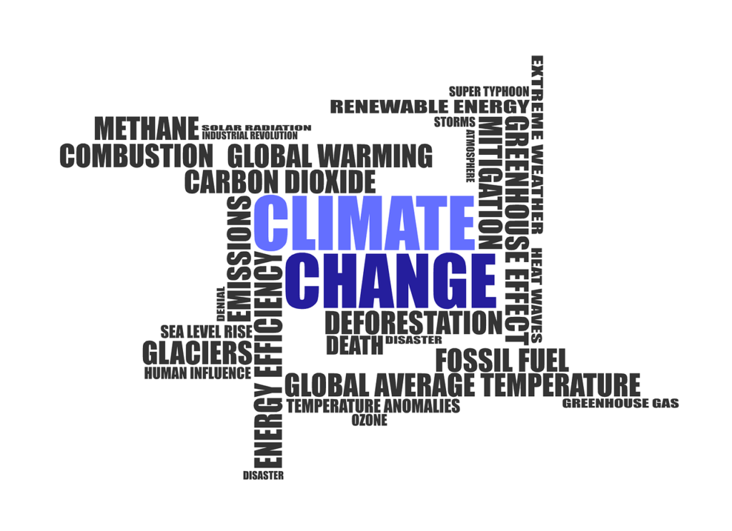 changement climatique et transition écologique