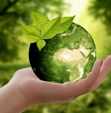 impact environnemental du numérique