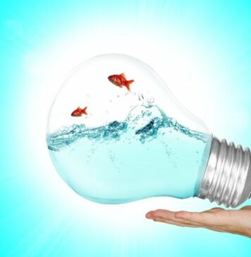 où travailler pour contribuer à la transition écologique