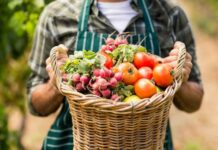 Producteurs français