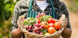 Producteurs français