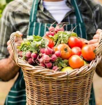 Producteurs français