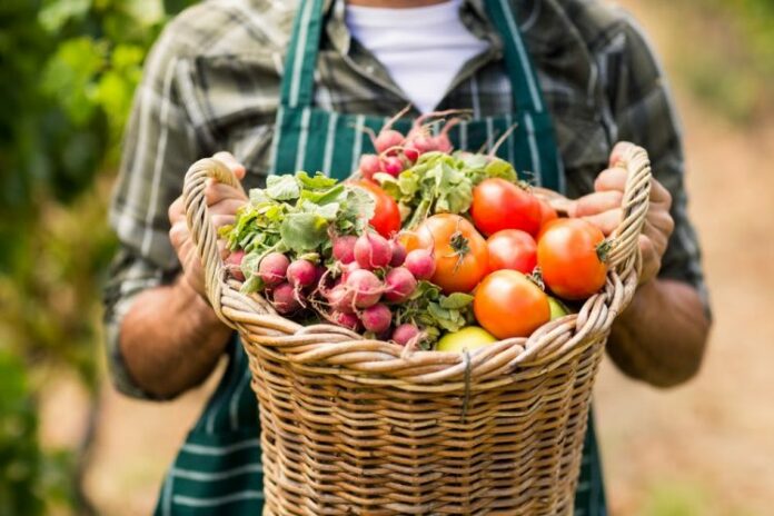 Producteurs français