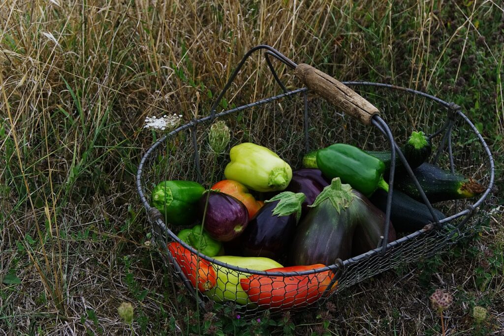 légumes pour restaurant éco-responsable Marseille