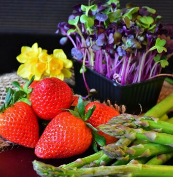 fruits et légumes de printemps