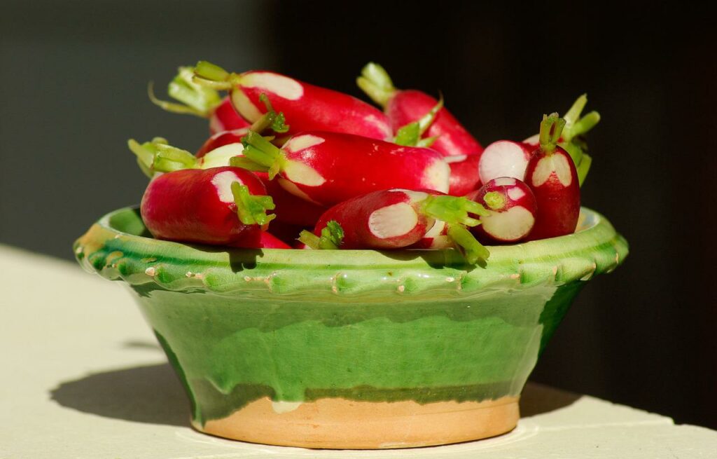 radis fruits et légumes de printemps