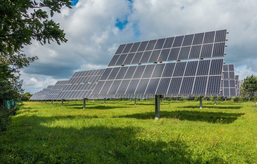 fournisseurs d'électricité verte