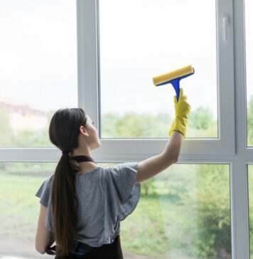 nettoyage vitres