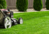 Tonte pelouse conseils pratique
