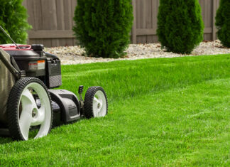 Tonte pelouse conseils pratique