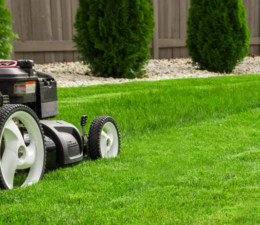 Tonte pelouse conseils pratique