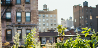 urban gardening